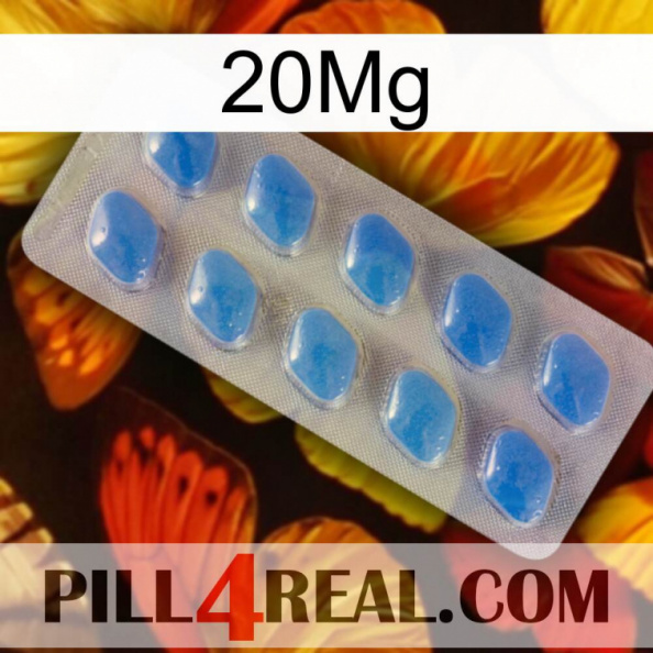 20Mg 22.jpg